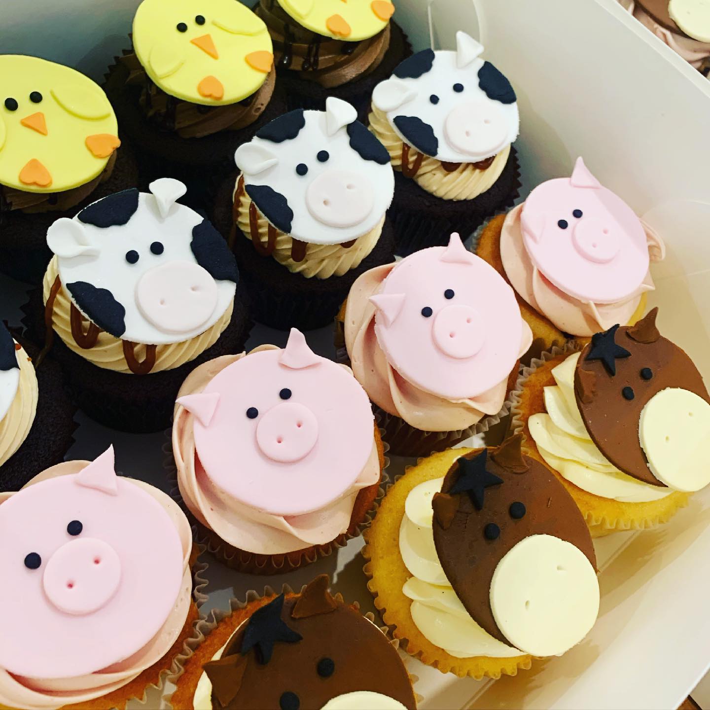 Farm Animal Cupcake Runaway Cupcakes