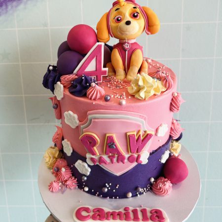 Paw patrol skye cake