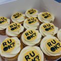 RUOK cupcake