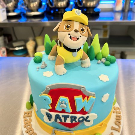 Paw Patrol Rubble cake