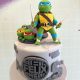 Teenage Mutant Ninja Turtles TMNT cake